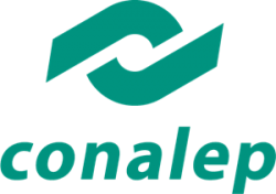 Profra. Brenda Cabrera